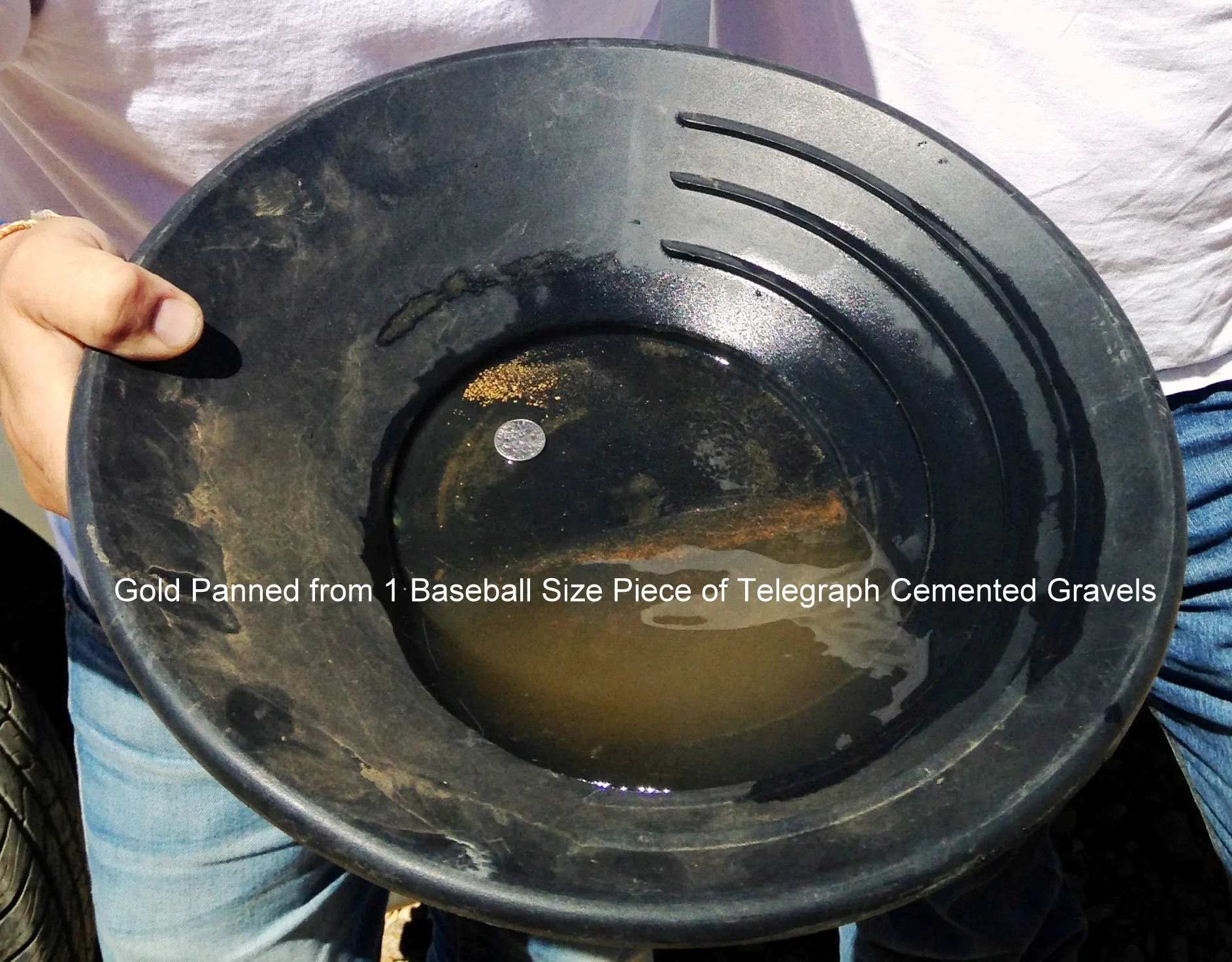 Gold in a prospecting pan